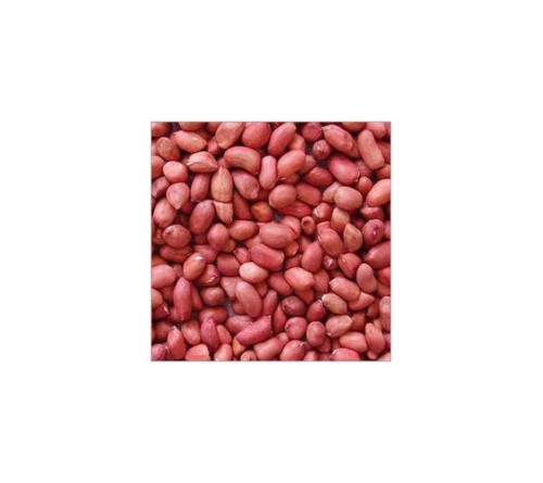 Organic Groundnut Seeds