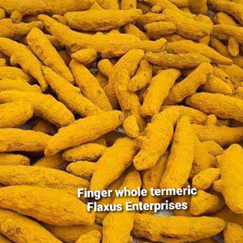 Whole Finger Turmeric
